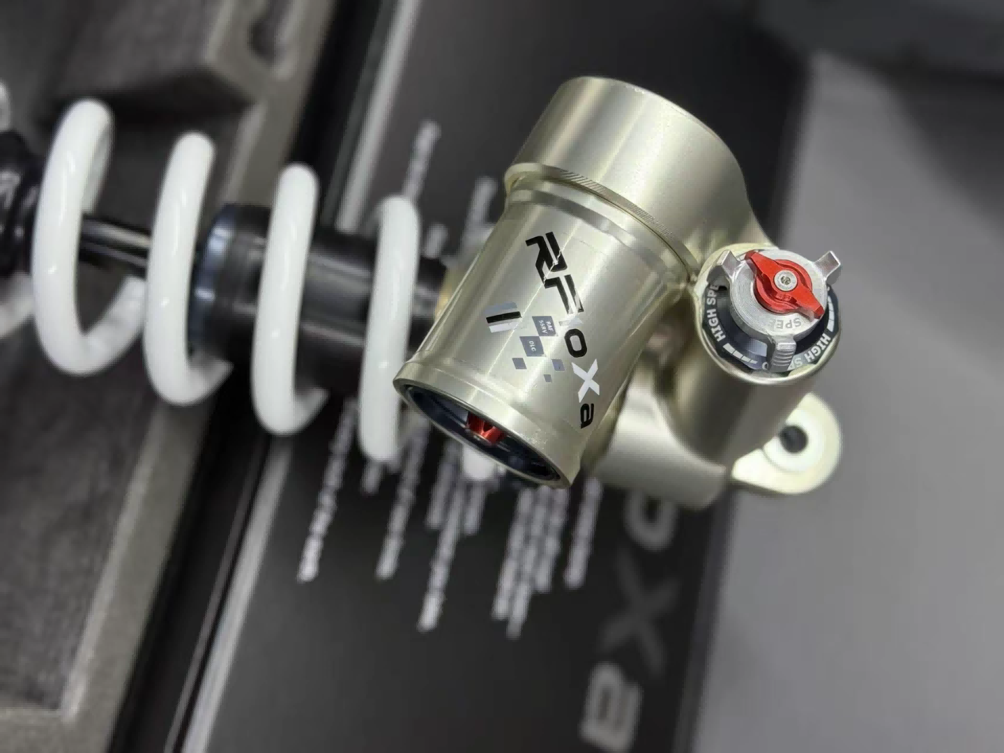RFloXa Rear Shocks for E-moto